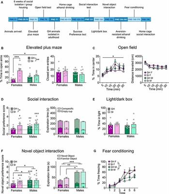 Social Isolation Stress in Adolescence, but not Adulthood, Produces Hypersocial Behavior in Adult Male and Female C57BL/6J Mice